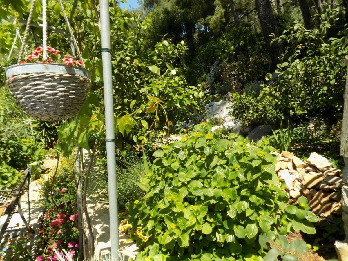 Apartments Zerjav Mali Losinj Ngoại thất bức ảnh